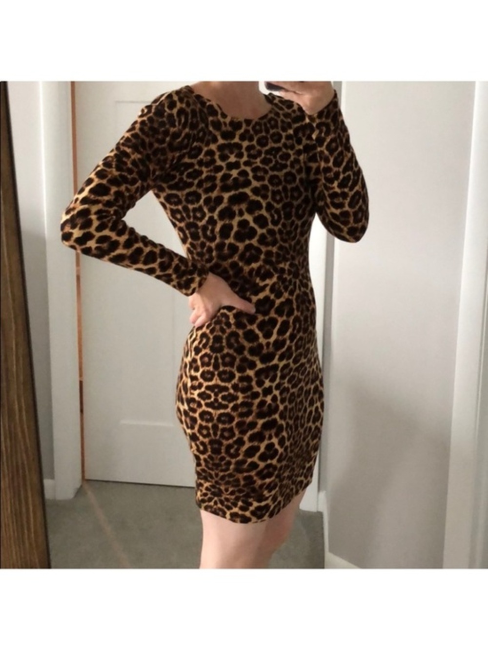 Leopard Print Long Sleeve Dress - Brown & Black